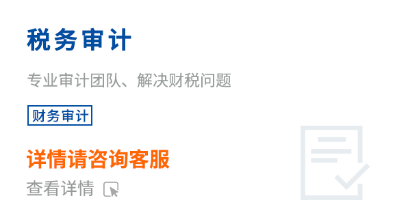 税务审计
